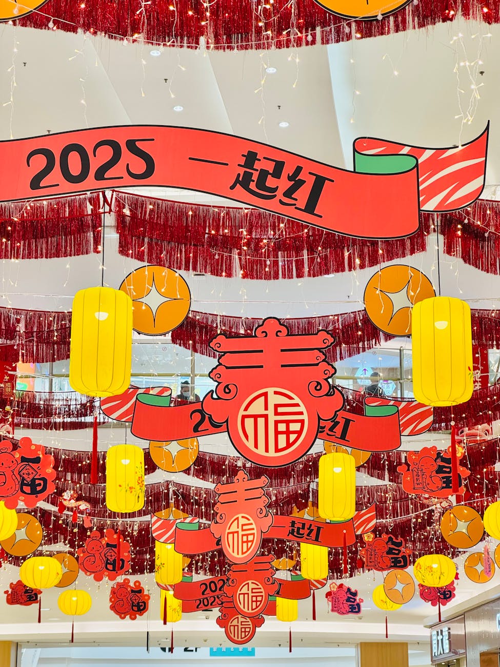 生态成员E